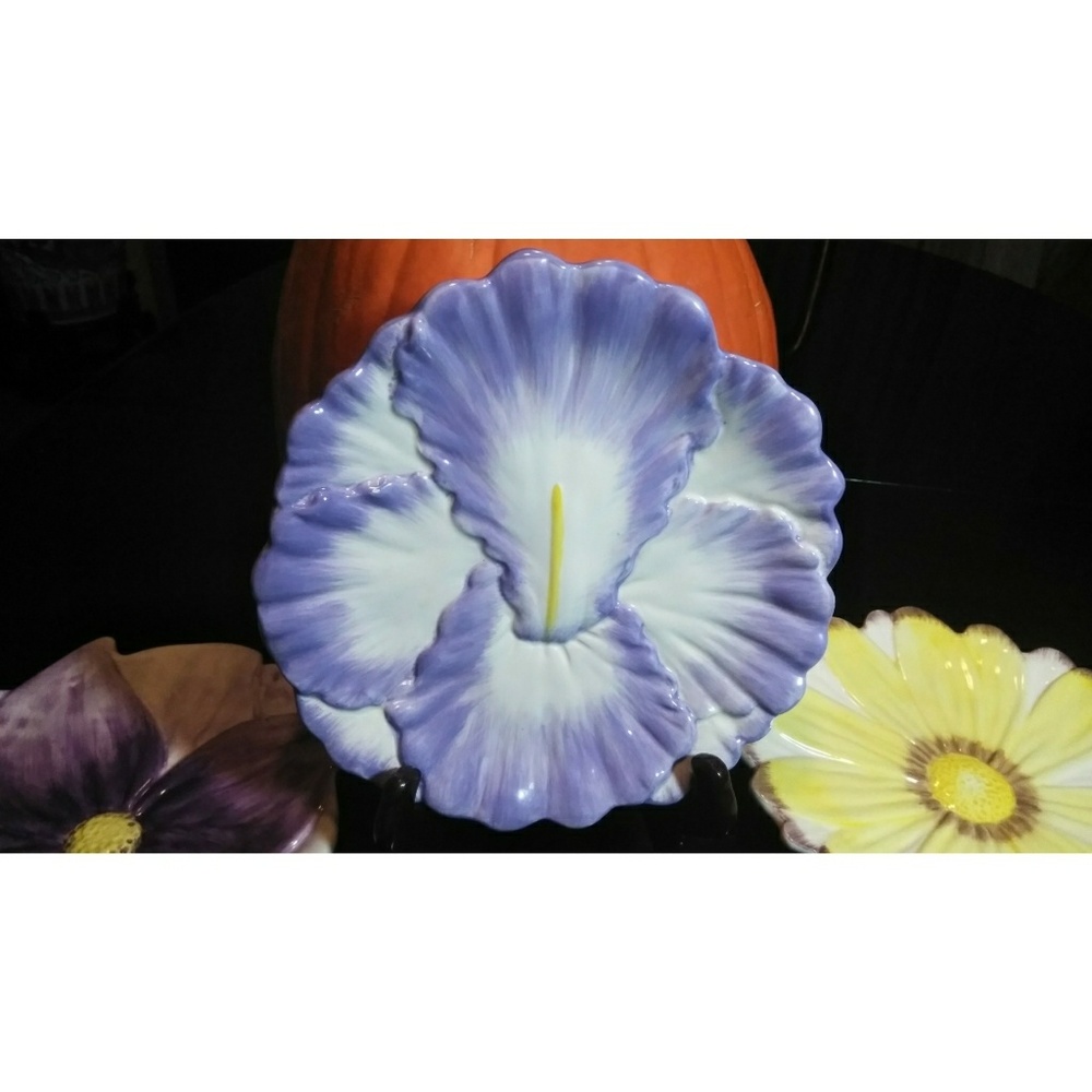 Unique Iris Flower Ceramic Plate